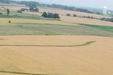 An aerial view of the finished crop circle reveals its inspiration:  the footprint of Kresge Auditorium. ï¿½ï¿½ï¿½ï¿½ï¿½ï¿½