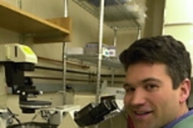 "Imagine finding a gene that is used by a bioterrorism agent and then modifying the cells of the body to no longer express that gene." - Luk Van Parijs