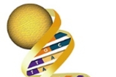 DNA strand