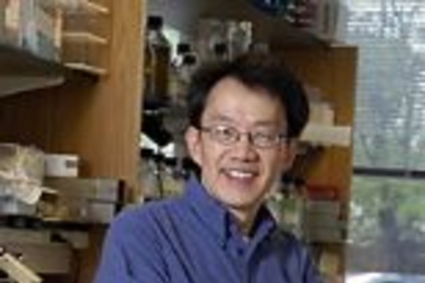 Morgan Sheng
