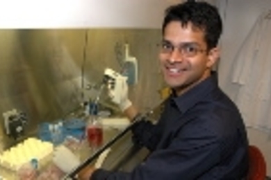 Broad Institute researcher Vamsi Mootha works with cells in the lab.