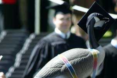 Cameron Bass is obscured by his fellow students, but his plastic lawn goose isn't, as it rides to Commencement strapped to his head and wearing his mortarboard.