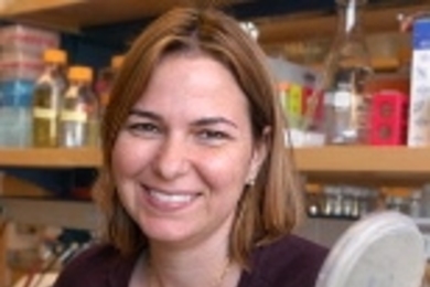 Angela Belcher