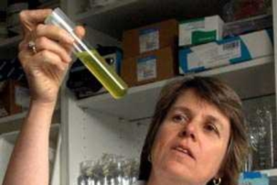 Penny Chisholm, the Lee and Geraldine Martin Professor of Environmental Studies at MIT, will discuss her research at a May 3 symposium  as part of MIT's inaugural festivities.