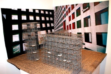 Simmons Hall inspired Jin Soo Kim's wire cubby creation. Kim is one of three artists who chose to focus their work on MIT locations for the exhibit "Dimensions Variable, Site Fixed," on display at the Cambridge Arts Council Gallery.