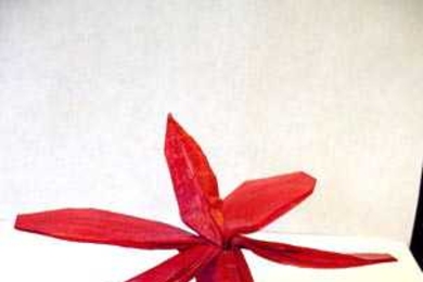 Origami skimmer dragonfly folded by graduate student Brian Chan, who won  Best Technical Folding and Best Original Design for his leaves and insects collection in the 2005 origami contest.