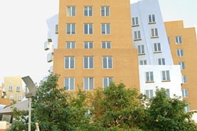 This vehicle was one of 46 that made the trip to MIT's Stata Center for AltWheels.