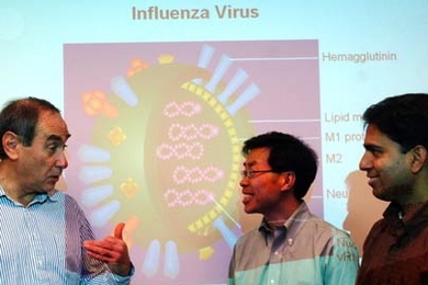 Professors Alexander Klibanov, left, Jianzhu Chen and MIT researcher Jayanta Haldar discuss the 'antimicrobial paint' they have developed.