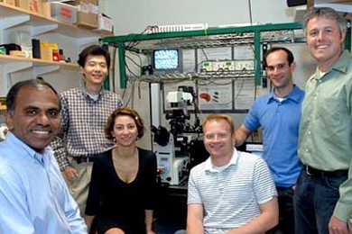 Part of the global team responsible for confirming the protein RESA's role in causing malaria by binding to red blood cells, in a lab at MIT. Professor Subra Suresh, left, research scientist Ming Dao, standing, post-doc Monica Diez Silva, seated, graduate student David Quinn, seated, graduate student John Mills, and professor Matthew Lang.