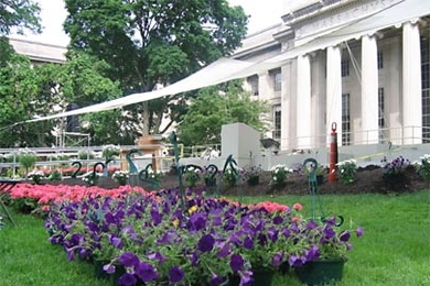 Flowers are set out June 6 in preparation for MIT's Commencement excercises on Friday.