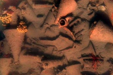 Broken amphoras amid debris on the Aegean seafloor.