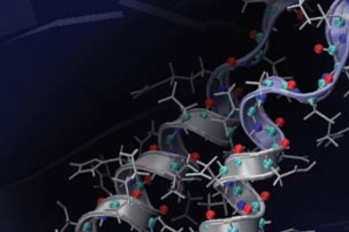 This figure from an atomistic model shows a protein in the process of unwinding in response to pressure.