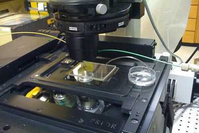 Researchers used a microfluidics device and a microscope (shown here) in research involving microbes that could lead to a new way of isolating harmful forms of drugs.