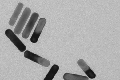 MIT researchers used these gold nanorods that absorb energy from near-infrared light and emit it as heat, destroying cancer cells.