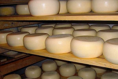 Trays of San Andreas cheese — an unpasteurized cheese from raw sheep's milk — made by Liam and Cindy Callahan, a mother and son team, at Bellwether Farm in Sonoma County, Calif.
