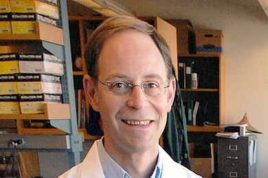 David Schauer