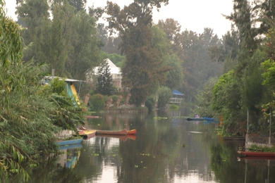 Water contamination limits agricultural output in many peri-urban agricultural areas.
