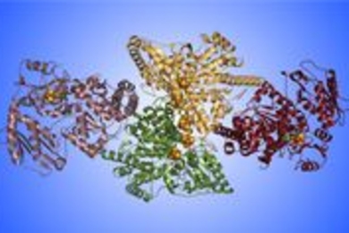 four clusters of coiled squiggles, denoting an enzyme structure