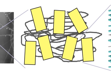 Structure of silk. The yellowish regions are the key cross-linking domains in silk, beta-sheet crystals. Spider web photograph courtesy Nicolas Demars.