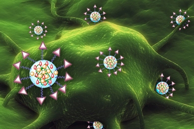 Drug-carrying nanoparticles designed by MIT and Brigham and Women's Hospital researchers are decorated with tags that bind to molecules found on the surface of tumor cells.