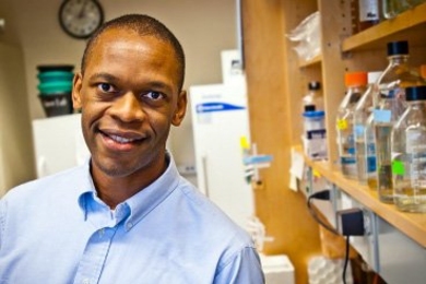 Jacquin Niles, MIT assistant professor of biological engineering