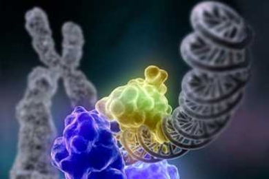 When DNA is damaged, enzymes repair it. MIT researchers have shown that overactivity of a certain DNA repair enzyme can help cancer cells survive chemotherapy.
