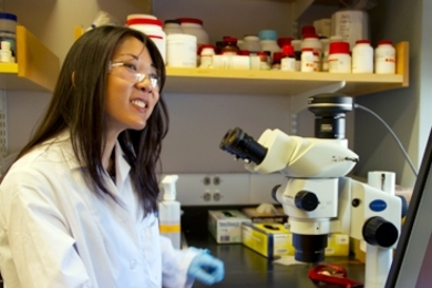 Irene Chou Chen, a doctoral candidate in the lab of Krystyn J. Van Vliet