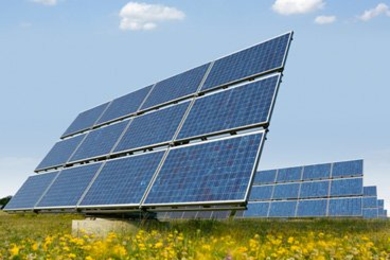 Solar panels in a field with yellow flowers
