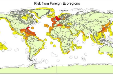 This map indicates relative risk from ecoregions outside the northeastern United States, evenly weighting ballast water volume sourced from a region and number of ships from that region. Red represents the highest risk and yellow the lowest risk. Ecoregions in white did not source any ships with a destination in the northeast United States [Sources: Basemap: NOAA 2011; Ecoregions: Spalding 2007].