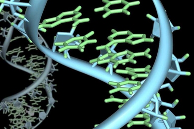 Genetics image