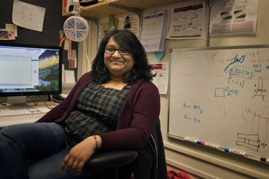Postdoc Trisha Andrew PhD ’10