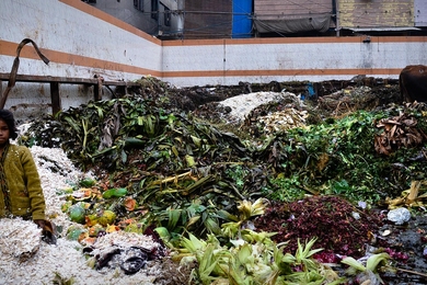 A girl dumps spoiled produce and inedible food clippings in a waste storage area at Azadpur market outside of Delhi. Millions of tons of food go to waste in India each year due to spoilage and other problems.