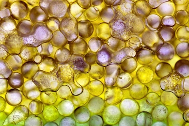 Using tiny glass beads, the researchers simulated the way liquified carbon dioxide would spread through salty water in the pores of deep rock formations.