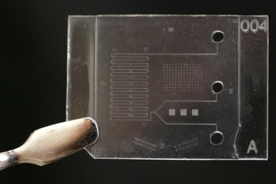 The Center for Polymer Microfabrication is designing processes for manufacturing microfluidic chips. Pictured here is a chip fabricated by the center's tailor-made production machines.