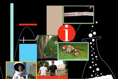 collage of images depicting science research