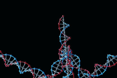 Researchers successfully used this nanoparticle, made from several strands of DNA and RNA, to turn off a gene in tumor cells.