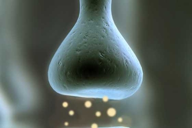 A graphic depicting a synapse, a connection between brain cells.