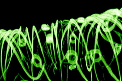 Green circular glowing lines on a black background