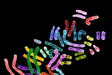 Rendering of genes