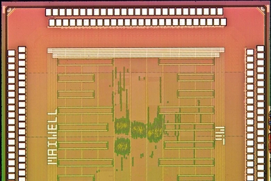 Die photo of the processor chip.