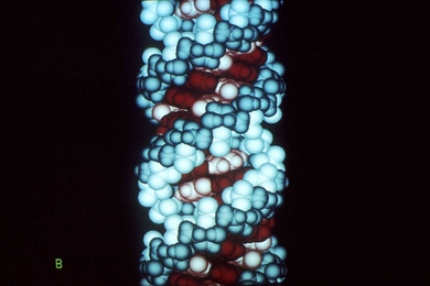 Graphic of DNA double helix