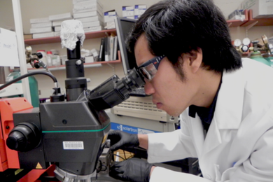 MIT materials science graduate student Wesley T. Hong in the lab. 