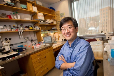 Dennis Kim