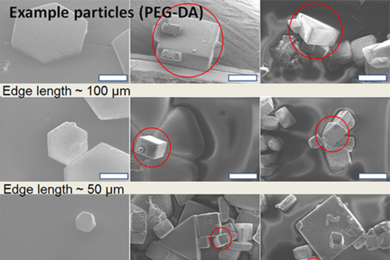 Shown here are examples of micro shapes polymerized by ultraviolet light in polyethylene glycol diacrylate (PEG-DA). 