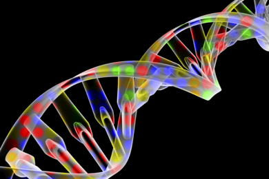DNA