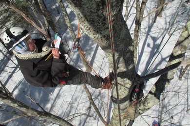 Lynda Mapes taking notes in a red oak