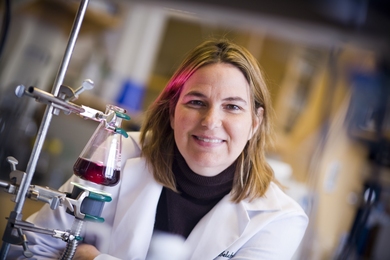 Angela Belcher (pictured), MIT professor of biological engineering and materials science and engineering; Paula Hammond, professor and head of the MIT Department of Chemical Engineering; Po-Yen Chen PhD ’15 (now at Brown University); and others have shown that a novel, high-efficiency, low-cost solar cell can be made using lead recovered from an abundant, old-technology source: lead-acid car bat...