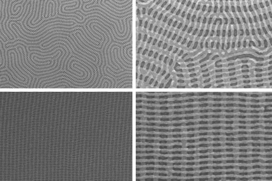 On the top row are two images of a nanomesh bilayer of PDMS cylinders in which the top layer is perpendicular to the complex orientation of the bottom layer. The bottom images show well-ordered nanomesh patterns of PDMS cylinders. The images on the right show zoomed-in views of the images on the left.