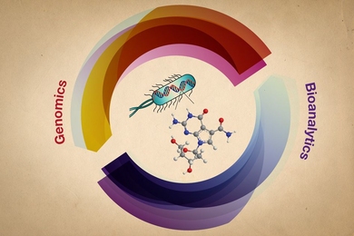 MIT and University of Florida researchers have devised a new way to find and characterize novel DNA modifications by combining genomics and bioanalytical chemistry.