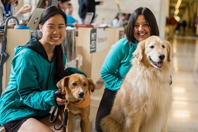 Puppy Lab founder Stephanie Ku (left) poses with Wingnut and Puppy Lab team-in-training Ann Peters of MIT Lincoln Lab and Pythagoras.